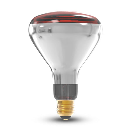 žarulje za piliće - infracrvene