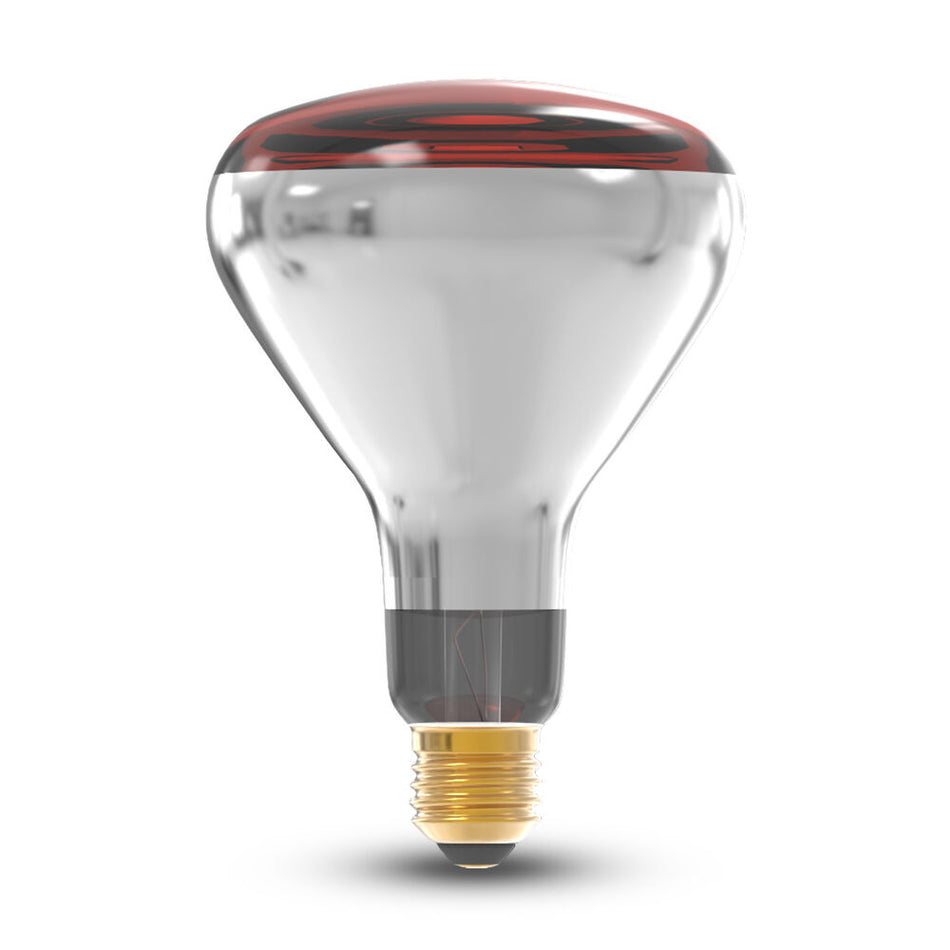 žarulje za piliće - infracrvene